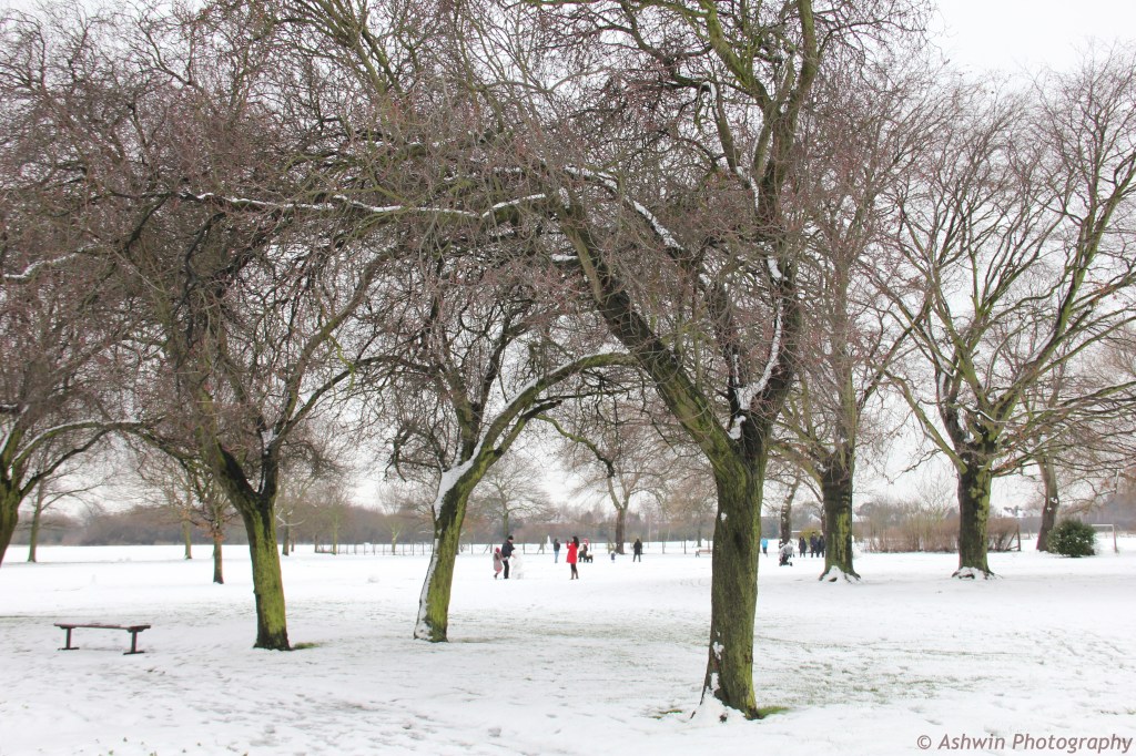 Again the Lampton Park